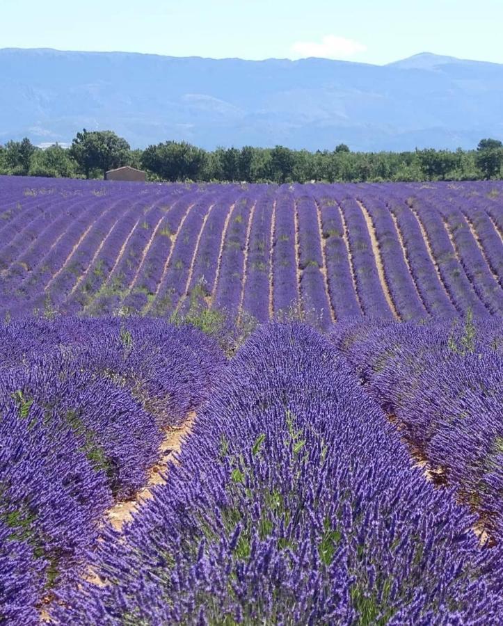 Gite La Maison Dans L'Olivette 奥赖松 外观 照片